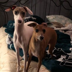 Meet your Posher, Elizabeth